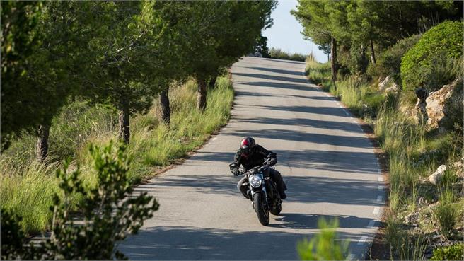 ducati monster ducati monster