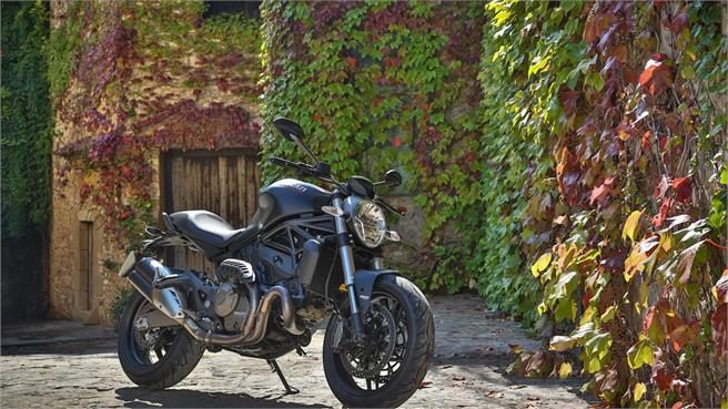ducati monster ducati monster