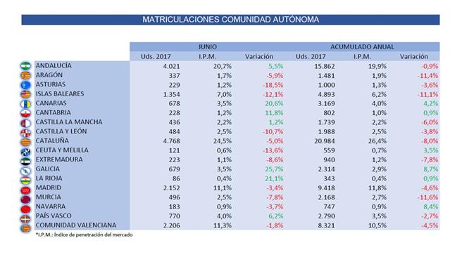 Descenso matriculaciones 2017