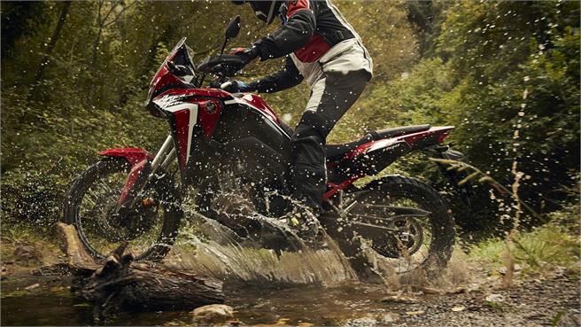 Enfrentamos la referencia del mercado trail de media cilindrada con una dura rival, la Tiger 900