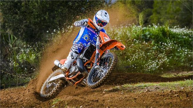 Comparativo Enduro 300 2T