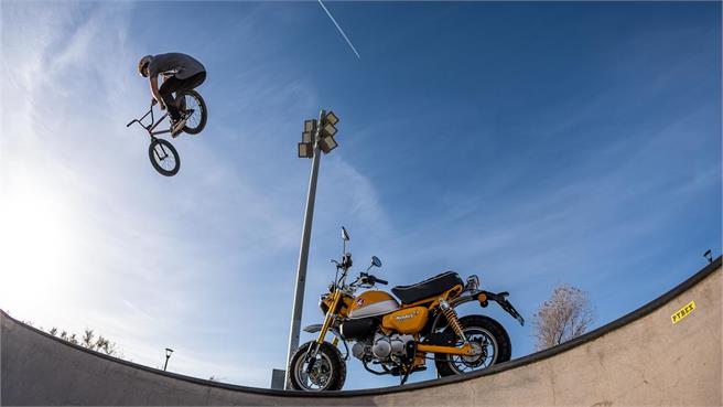Honda Monkey y/Super Cub: Clásicas de ho