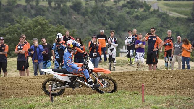 KTM 2019 MX Range
