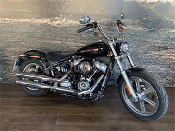 Harley-Davidson Softail Standard 2024