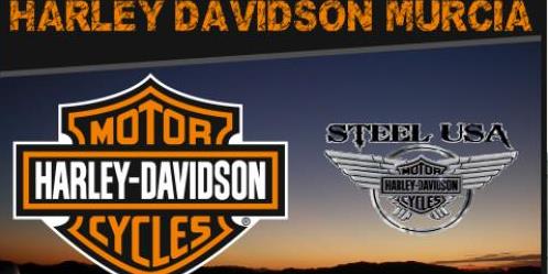 logo de Steel Usa
